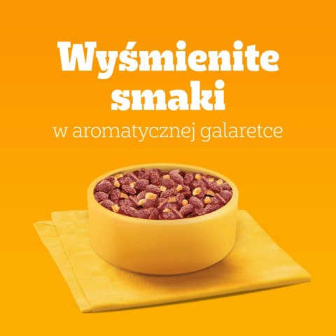 Pedigree Mokra Karma Dla Dorosłych Psów W Galaretce (Z Wołowiną, Z Drobiem) 4x100g