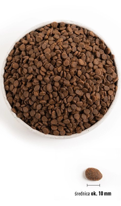 ORIJEN Regional Red Cat 5,4kg