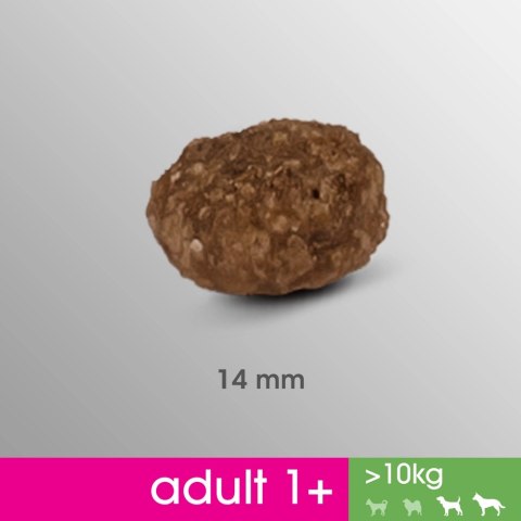 PERFECT FIT Adult 1+ Duże Rasy Z Kurczakiem 825g