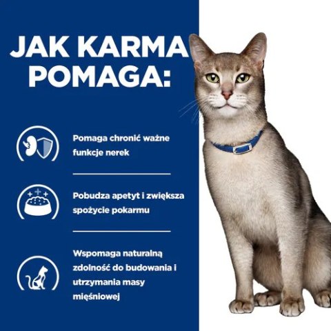 Hill's PD Prescription Diet Feline k/d Kidney Care Wołowina 85g