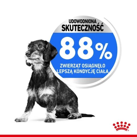 ROYAL CANIN CCN Mini Light Weight Care 8kg
