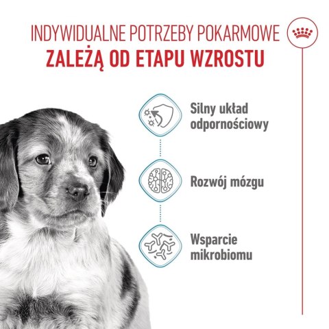 ROYAL CANIN Medium Puppy 1kg