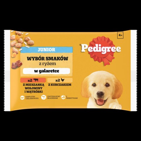 Pedigree Mokra Karma Dla Szczeniąt W Galaretce (Z Kurczakiem I Ryżem, Z Wołowiną I Ryżem) 4x100g