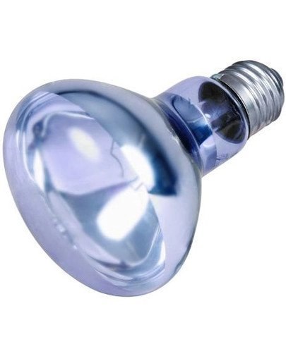 Trixie Neodymowa Żarówka Grzewcza 100W