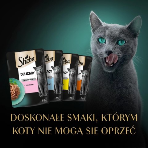 Sheba Fine Flakes In Jelly Saszetka 4x85g