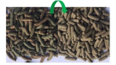 Versele-Laga Cuni Nature Original Pokarm Dla Królików 9kg