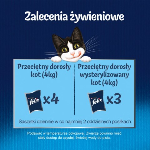 Felix Fantastic Kurczak W Galaretce 85g