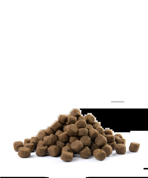 Versele-Laga Opti Life Adult Digestion Medium&Maxi Jagnięcina Z Ryżem 12,5kg