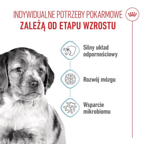 ROYAL CANIN Medium Puppy 15kg