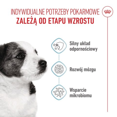 ROYAL CANIN Mini Puppy 2kg