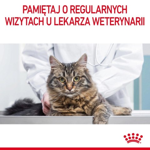 ROYAL CANIN Urinary Care 10kg