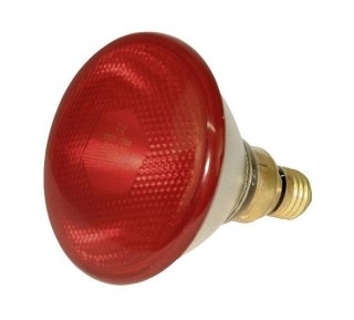 KERBL Żarówka Promiennika 100W Czerwona