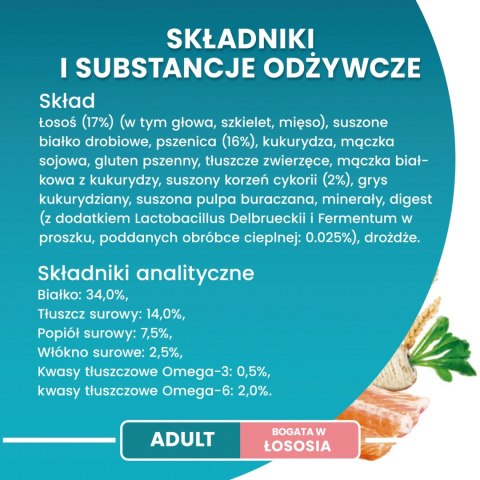 Purina One Cat Adult Karma Z Łososiem Dla Kota 800g