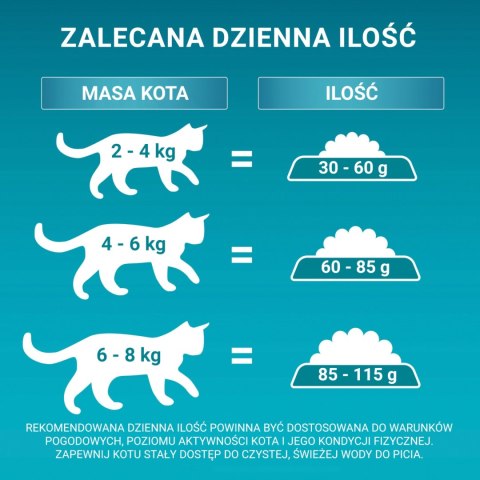 Purina One Cat Adult Karma Z Łososiem Dla Kota 800g