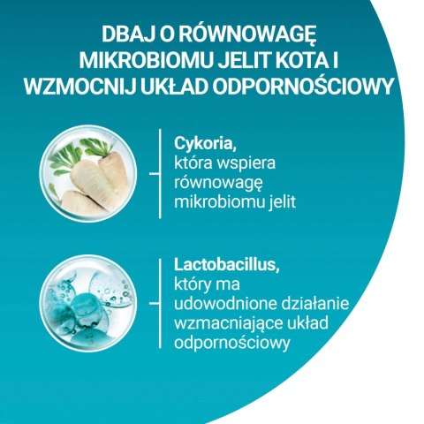 Purina One Cat Adult Karma Z Wołowiną Dla Kota 800g