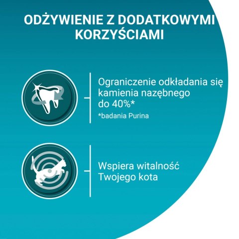 Purina One Cat Adult Z Kurczakiem Dla Kota 800g