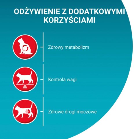 Purina One Cat Sterilcat Karma Z Łososiem Dla Kota 800g