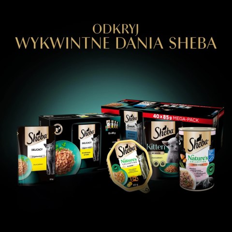 Sheba Delicacy Rybne Smaki W Galaretce, Z Łososiem, Z Białą Rybą, Z Tuńczykiem, Z Dorszem 80x85g