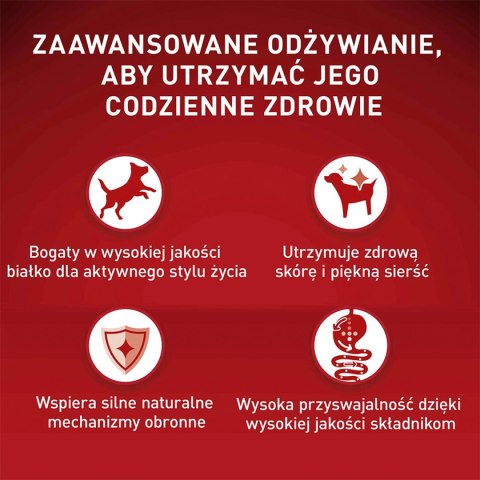 PURINA ONE Mini Delicate Łosoś, ryż - sucha karma dla psa - 800 g