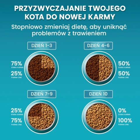 Purina One Cat Coat & Hairball Karma dla kotów z kurczaka 800g