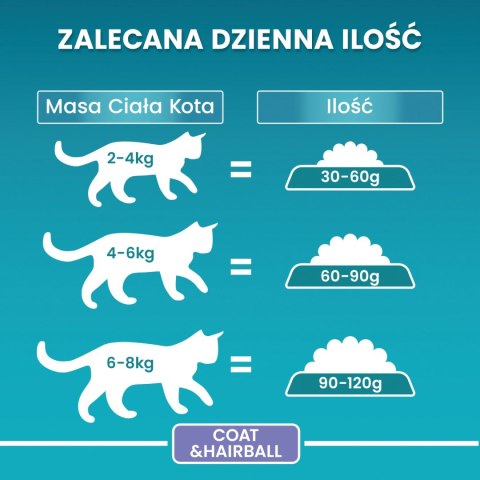 Purina One Cat Coat & Hairball Karma dla kotów z kurczaka 800g