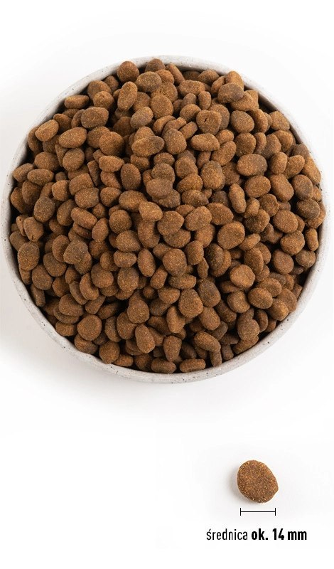 ORIJEN Tundra Dog 6kg