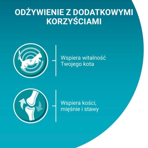 Purina One Adult Karma Dla Kota Z Kurczakiem I Zieloną Fasolką 85g