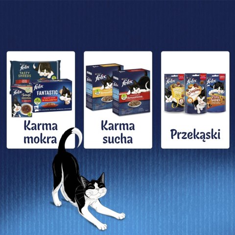 Felix Fantastic Mix Smaków W Galaretce Karma Dla Kota 44x85g