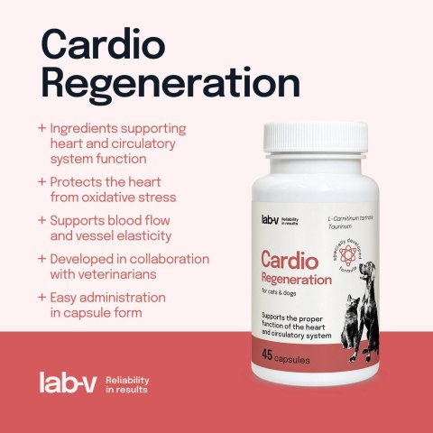 Lab-v Cardio Regeneration Wsparcie Prawidłowego Funkcjonowania Pracy Serca I Układu Krążenia Dla Psów I Kotów 45 Kapsułek