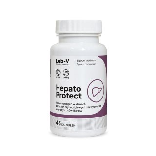 Lab-v Hepato Protect Wspomaganie Funkcji Wątroby Dla Psów I Kotów 45 Kapsułek