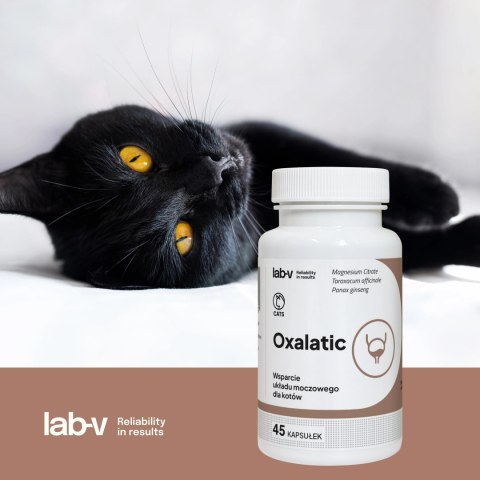 Lab-v Oxalatic Wsparcie Dla Kotów Przy Tworzeniu Się Kamieni Oksalatowych 45 Kapsułek