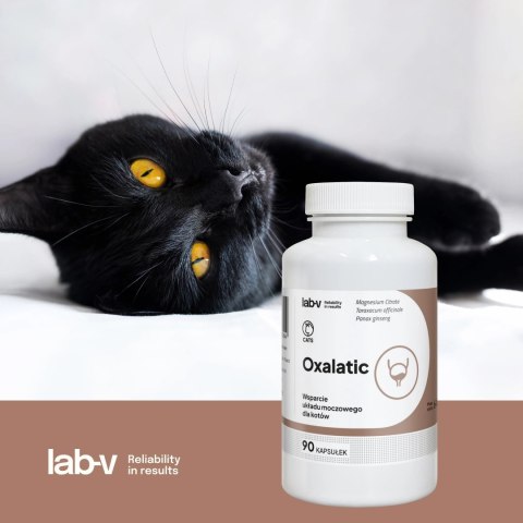 Lab-v Oxalatic Wsparcie Dla Kotów Przy Tworzeniu Się Kamieni Oksalatowych 45 Kapsułek