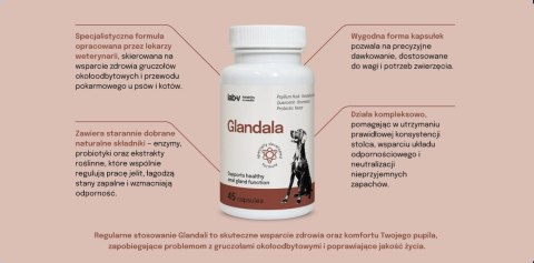 Lab-v Glandala Wsparcie Gruczołów Okołoodbytowych i Przewodu Pokarmowego 45 Kapsułek
