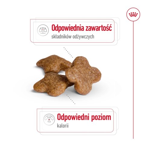 ROYAL CANIN Mini Adult 8+ 2kg