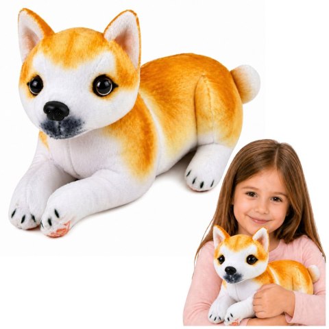 Pluszowy Piesek Shiba Inu Przytulanka Maskotka Pluszak Pies Miękki 25 cm