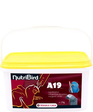 Versele-Laga NutriBird A19 Pokarm Do Ręcznego Karmienia Piskląt 3kg