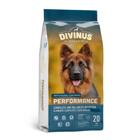 Divinus Performance Karma Sucha Dla Psów Owczarek Niemiecki 20kg