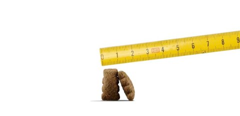 Josera SensiPlus Karma Bezglutenowa Z Kaczką Dla Psów Dorosłych 12,5kg
