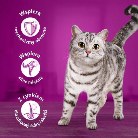 Whiskas Adult Klasyczne Posiłki W Sosie Dla Kota 40x85g