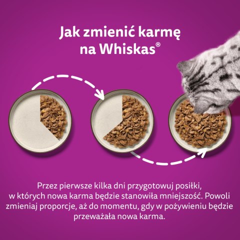 Whiskas Adult Klasyczne Posiłki W Sosie Dla Kota 40x85g