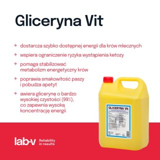 Lab-v Gliceryna Vit - Mieszanka Paszowa Uzupełniająca Dla Krów Mlecznych Zmniejszająca Ryzyko Wystąpienia Ketozy 5kg