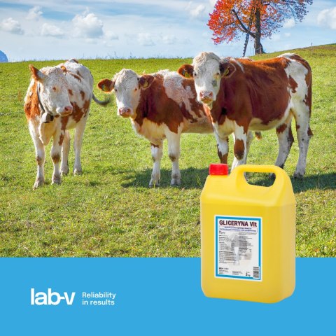 Lab-v Gliceryna Vit - Mieszanka Paszowa Uzupełniająca Dla Krów Mlecznych Zmniejszająca Ryzyko Wystąpienia Ketozy 5kg