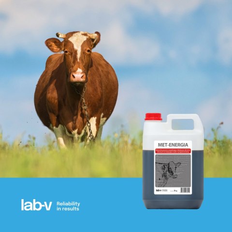 Lab-v Met-Energia - Mieszanka Paszowa Uzupełniająco-Dietetyczna Dla Krów Mlecznych Zmniejszająca Ryzyko Wystąpienia Ketozy 20kg