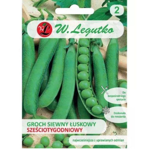 - ``` Groch siewny 'Sześciotygodniowy' - wczesny, gładkonasienny