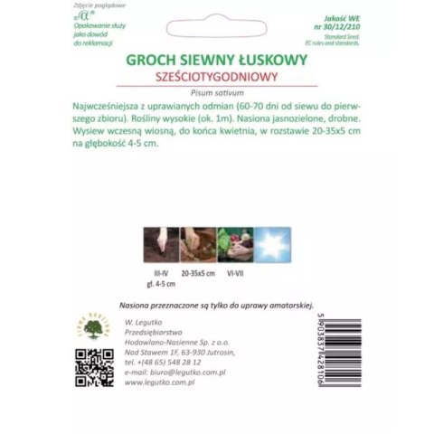 - ``` Groch siewny 'Sześciotygodniowy' - wczesny, gładkonasienny