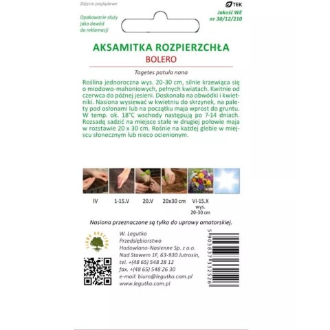 Aksamitka rozpierzchła 'Bolero' - mahoniowo-miodowa, 1 g