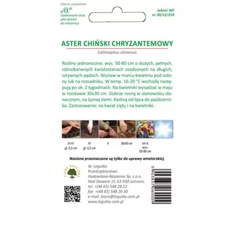 Aster chiński chryzantemowy mieszanka