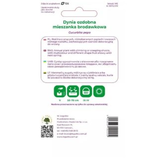 Dynia ozdobna mieszanka brodawkowa