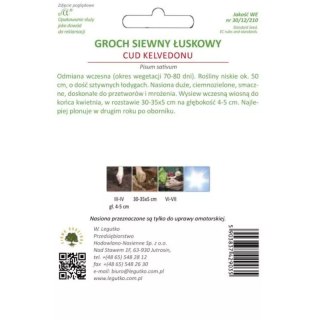Groch łuskowy 'Cud Kelvedonu' - odmiana wczesna o pomarszczonych nasionach