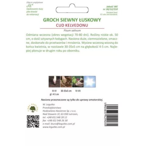 Groch łuskowy 'Cud Kelvedonu' - odmiana wczesna o pomarszczonych nasionach